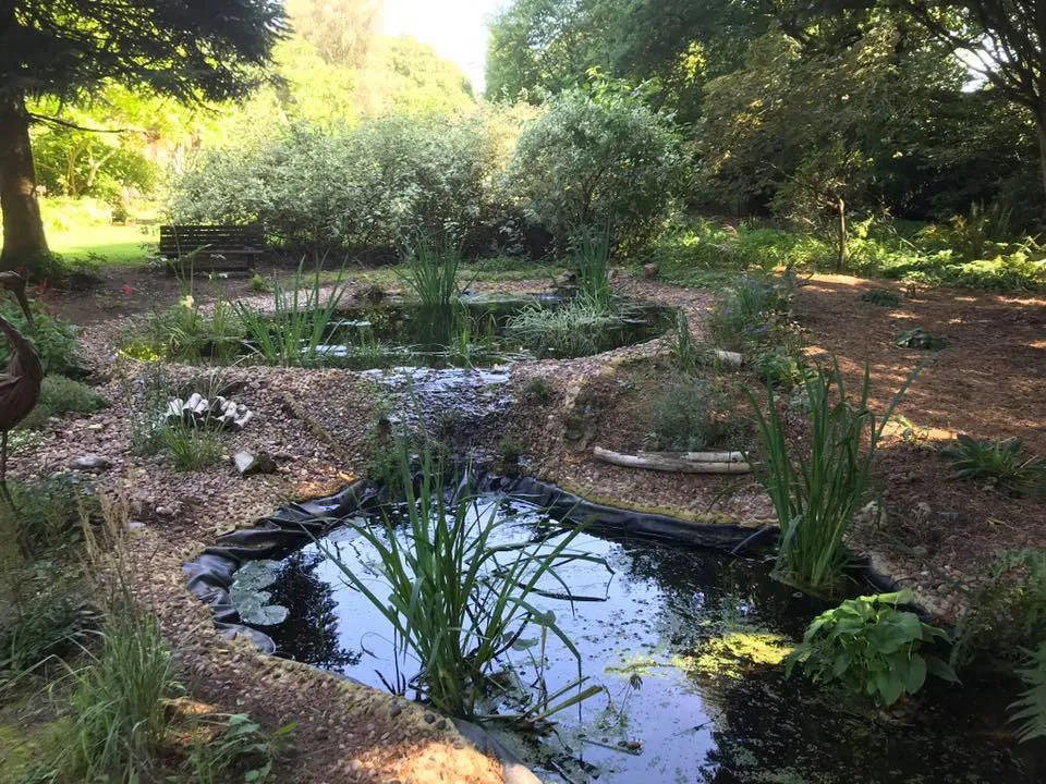 pond