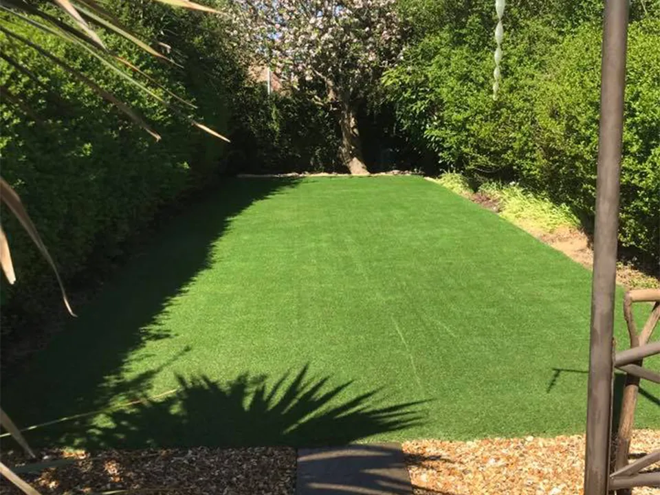 grass